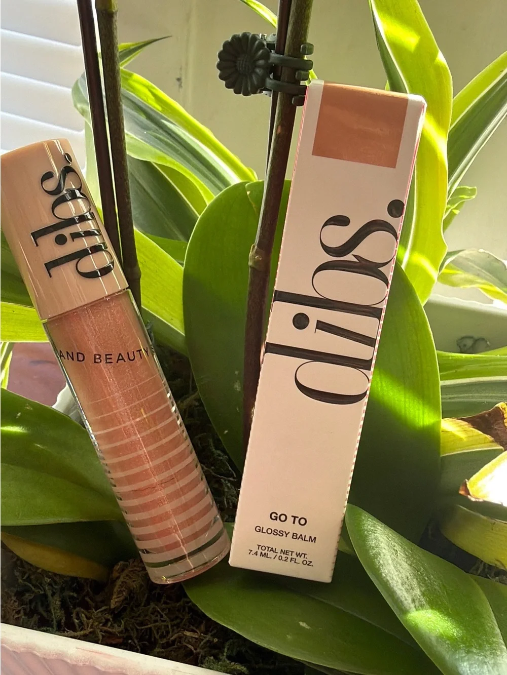 dibs Glossier Go-To Glossy Balm in Nude Pink